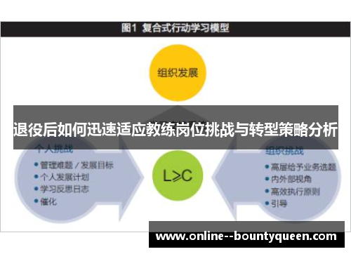 退役后如何迅速适应教练岗位挑战与转型策略分析
